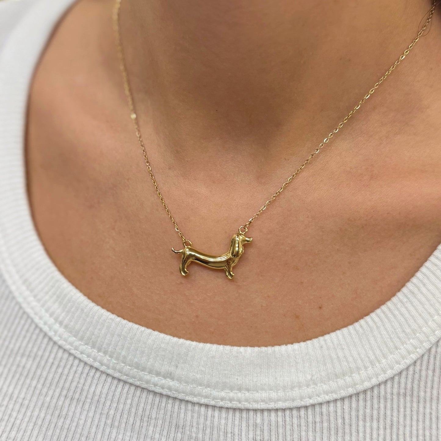 Collana Bassotto Dach in Acciaio Inox – Charme Cute