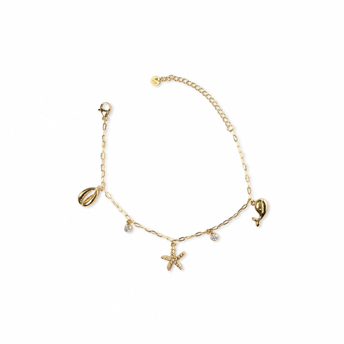Charm conchiglia dorata del bracciale Salsedine in acciaio inox con catena sottile