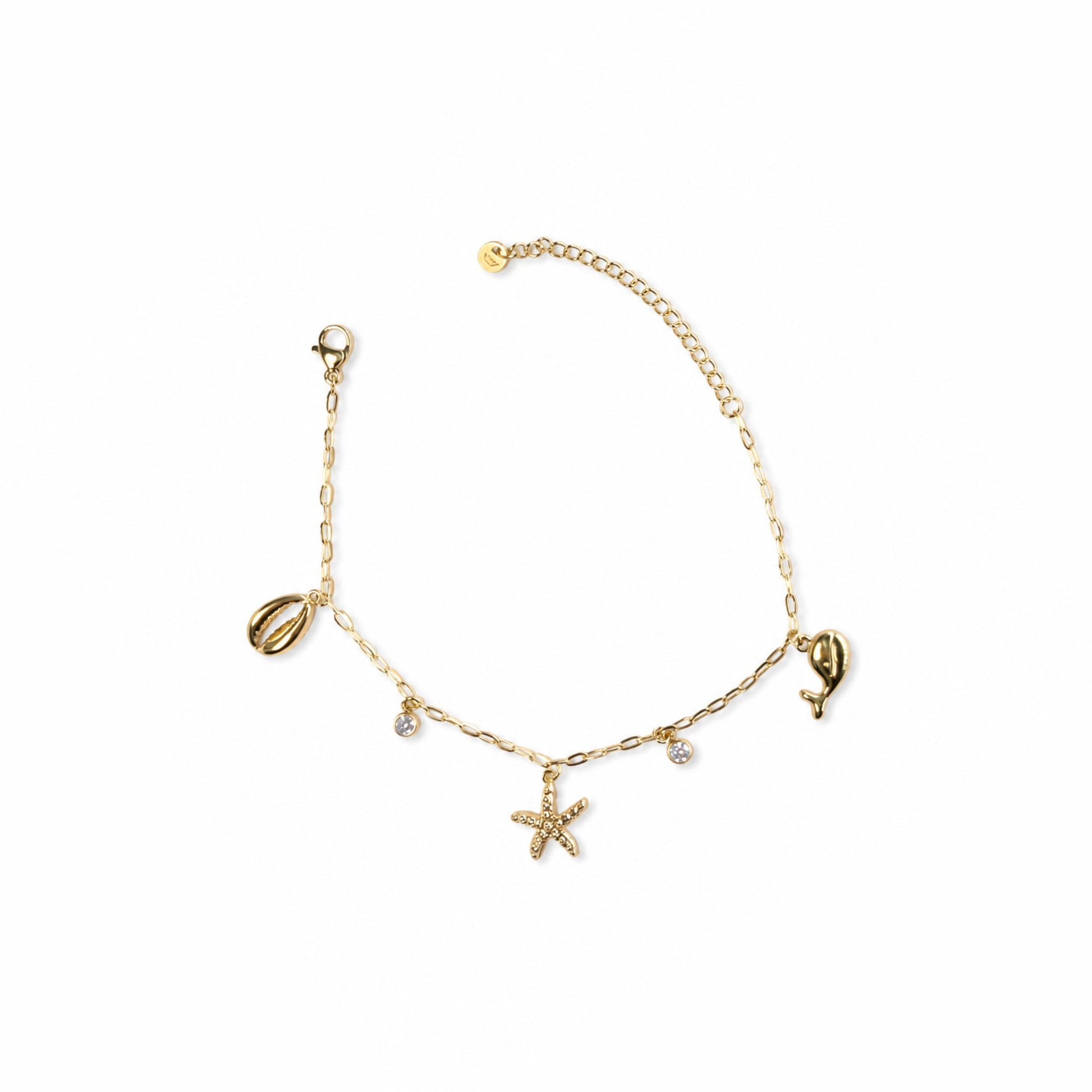 Charm conchiglia dorata del bracciale Salsedine in acciaio inox con catena sottile